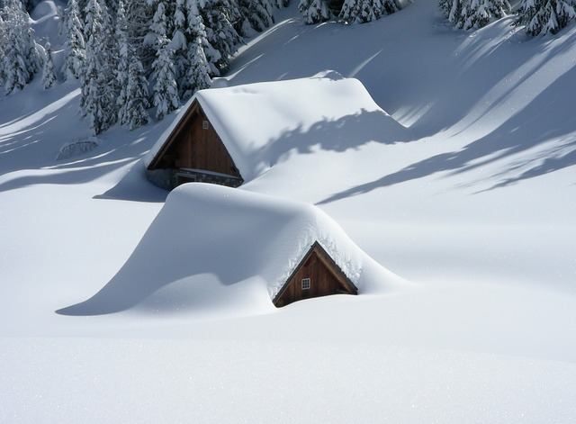 庭木と家屋を守る冬囲い 雪囲いについて知りたい 豪雪地帯は備えを